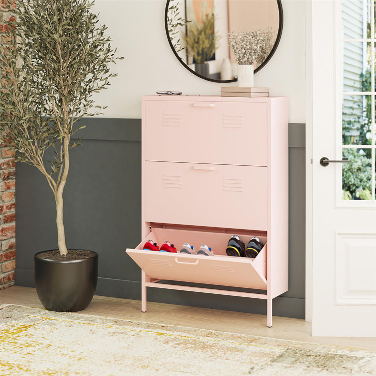 Pink hot sale shoe rack